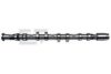 VW 06F109102E Camshaft